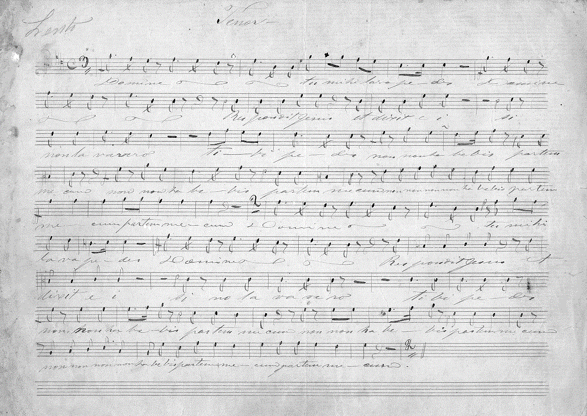 006t11.gif (355356 bytes)