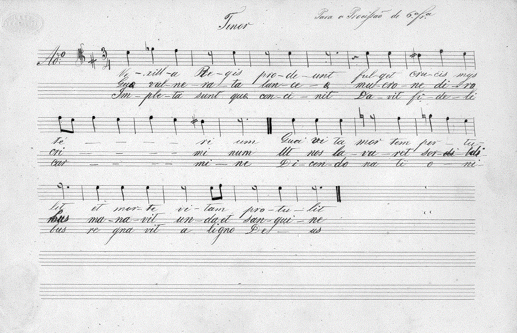 008t11.gif (249269 bytes)