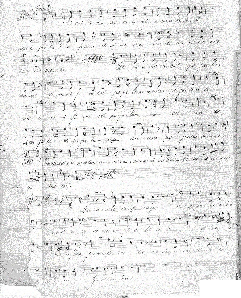 013s10.gif (488041 bytes)