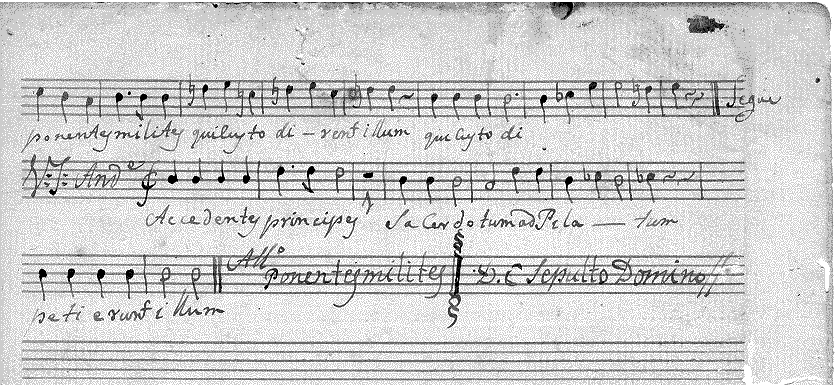 013s8.gif (62594 bytes)