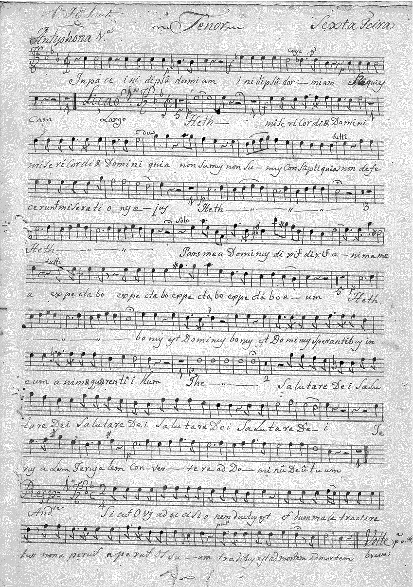 013t1.gif (205307 bytes)