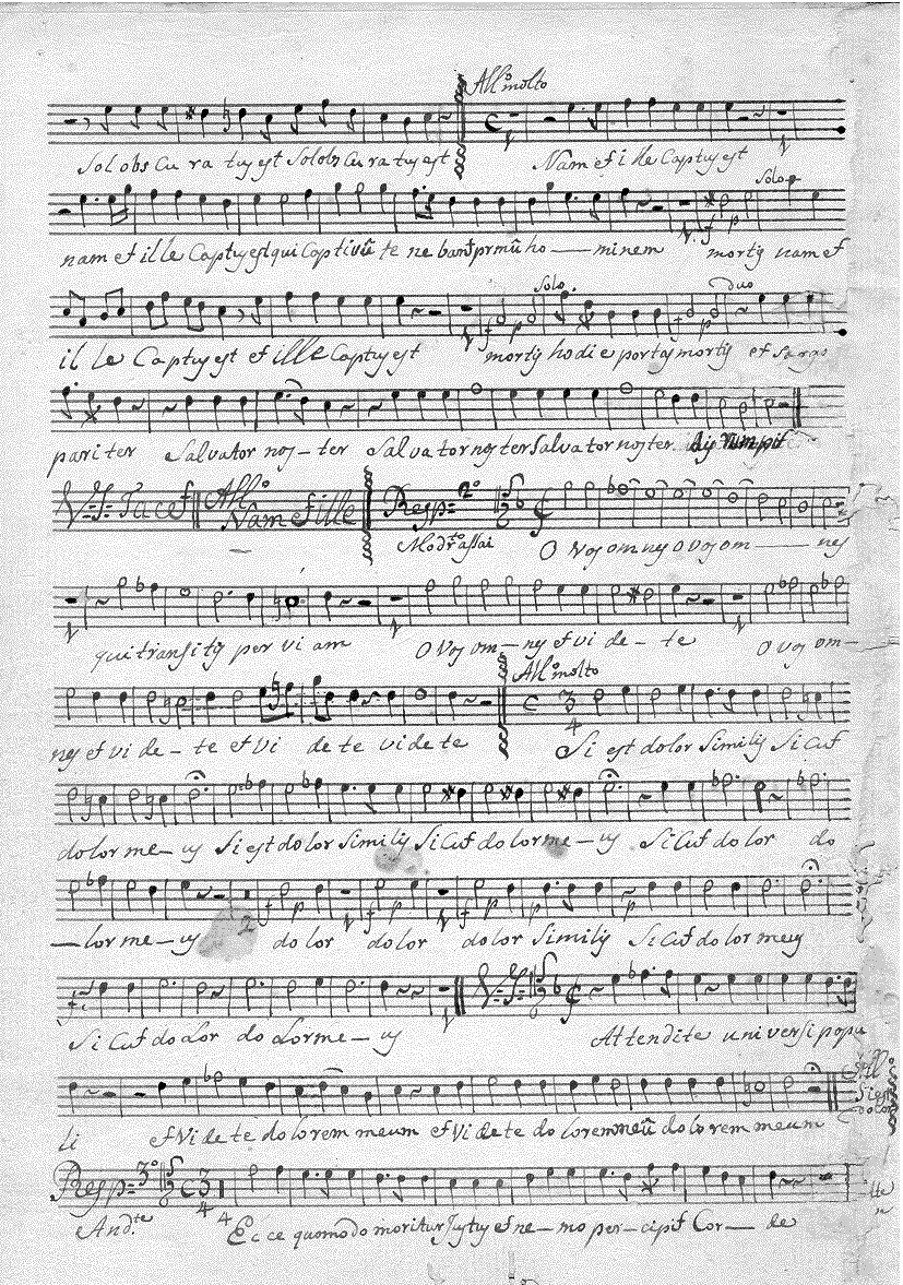 013t4.gif (191024 bytes)