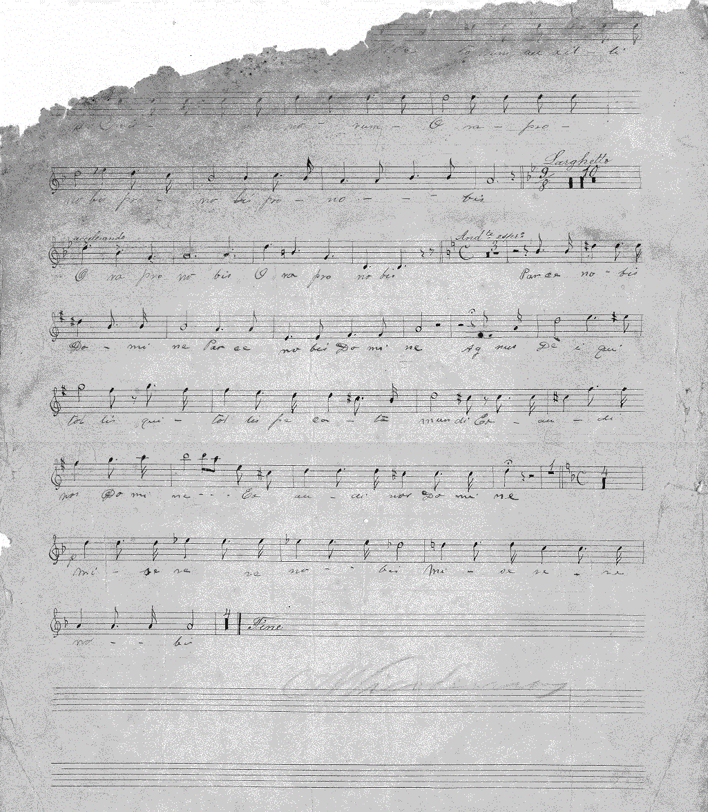 017ni32.gif (306192 bytes)