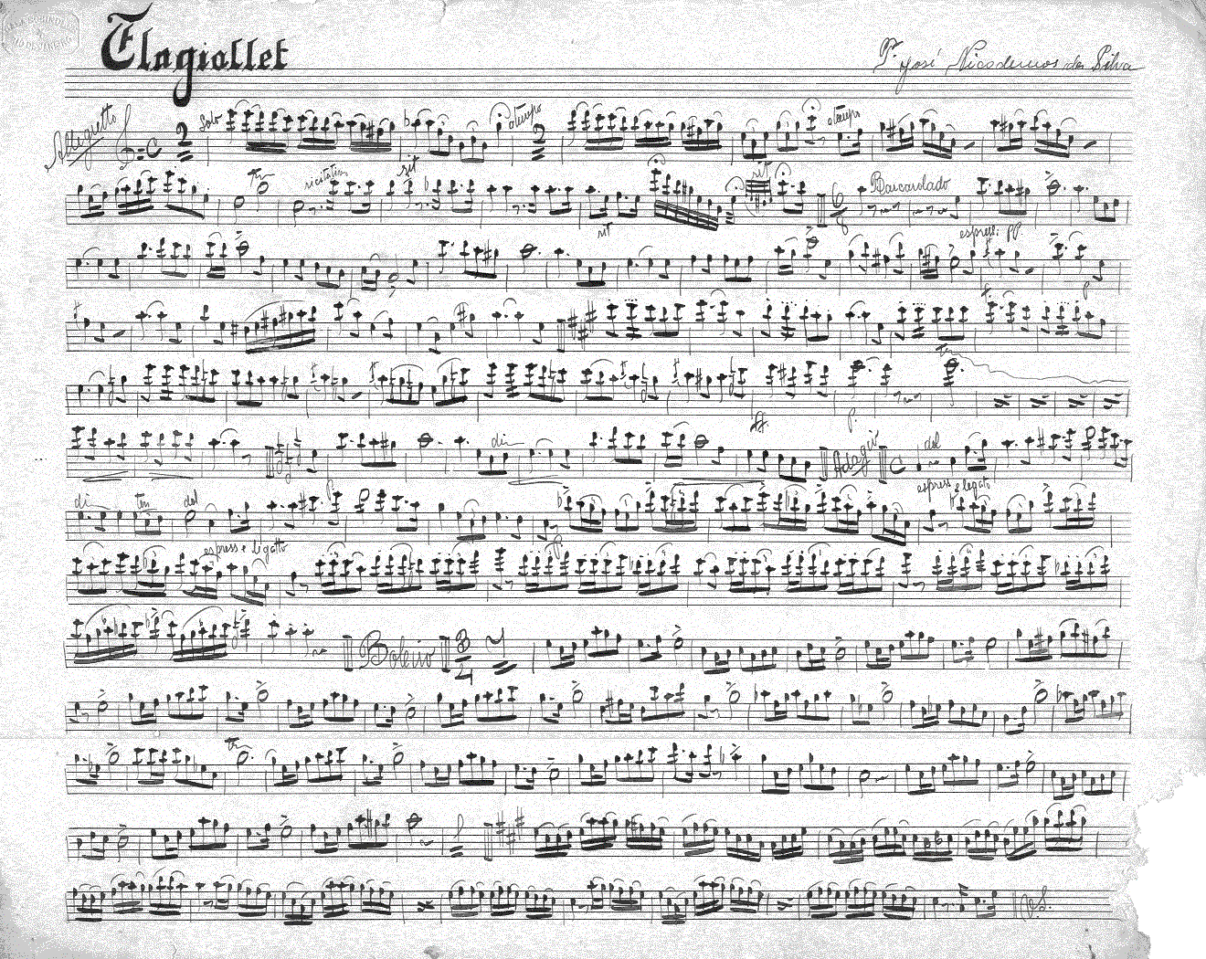 018flag1.gif (501672 bytes)