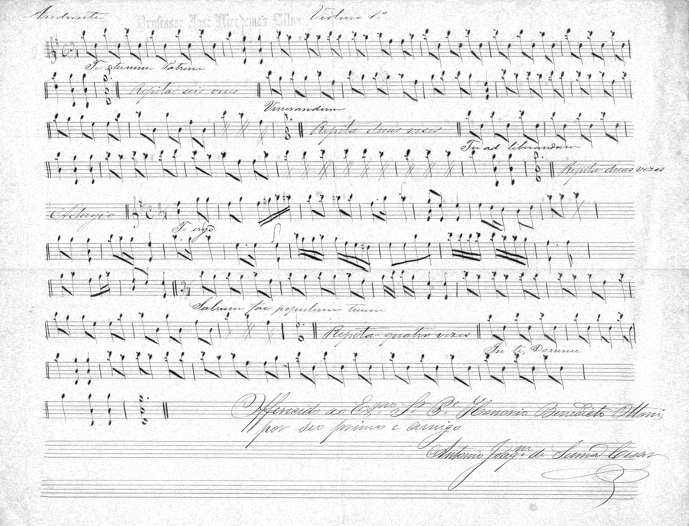 019v11.gif (503493 bytes)