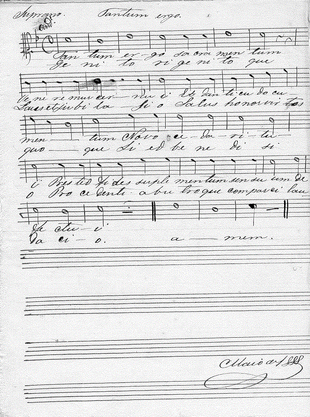 020s1.gif (180139 bytes)