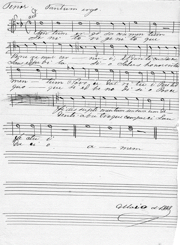 020t1.gif (175979 bytes)