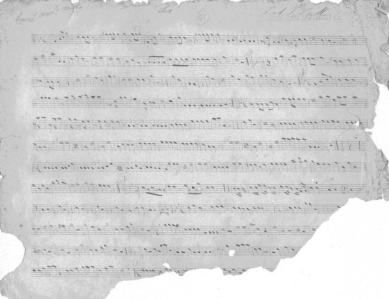 036sx11.gif (351807 bytes)