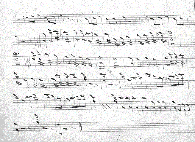 036v19.gif (130747 bytes)