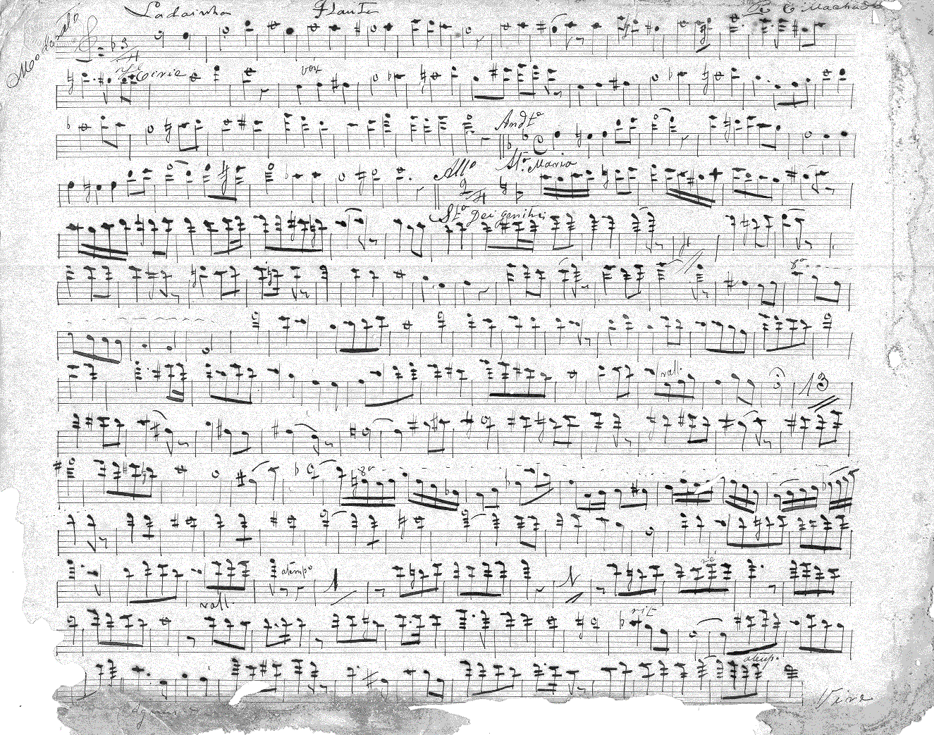 055fl11.gif (499003 bytes)