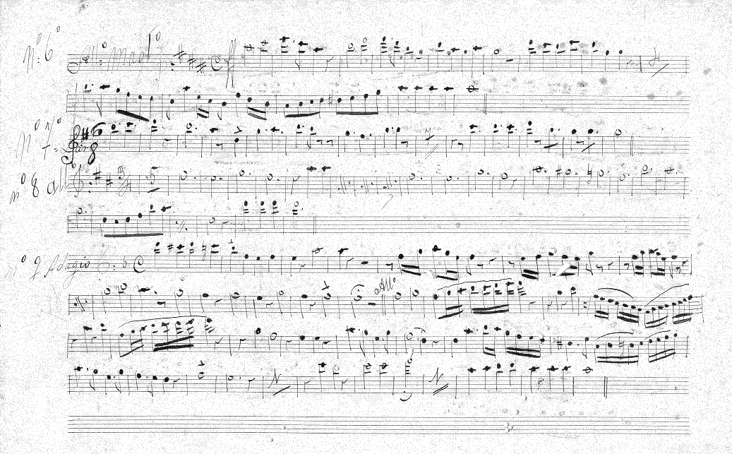 058fl12.gif (257672 bytes)