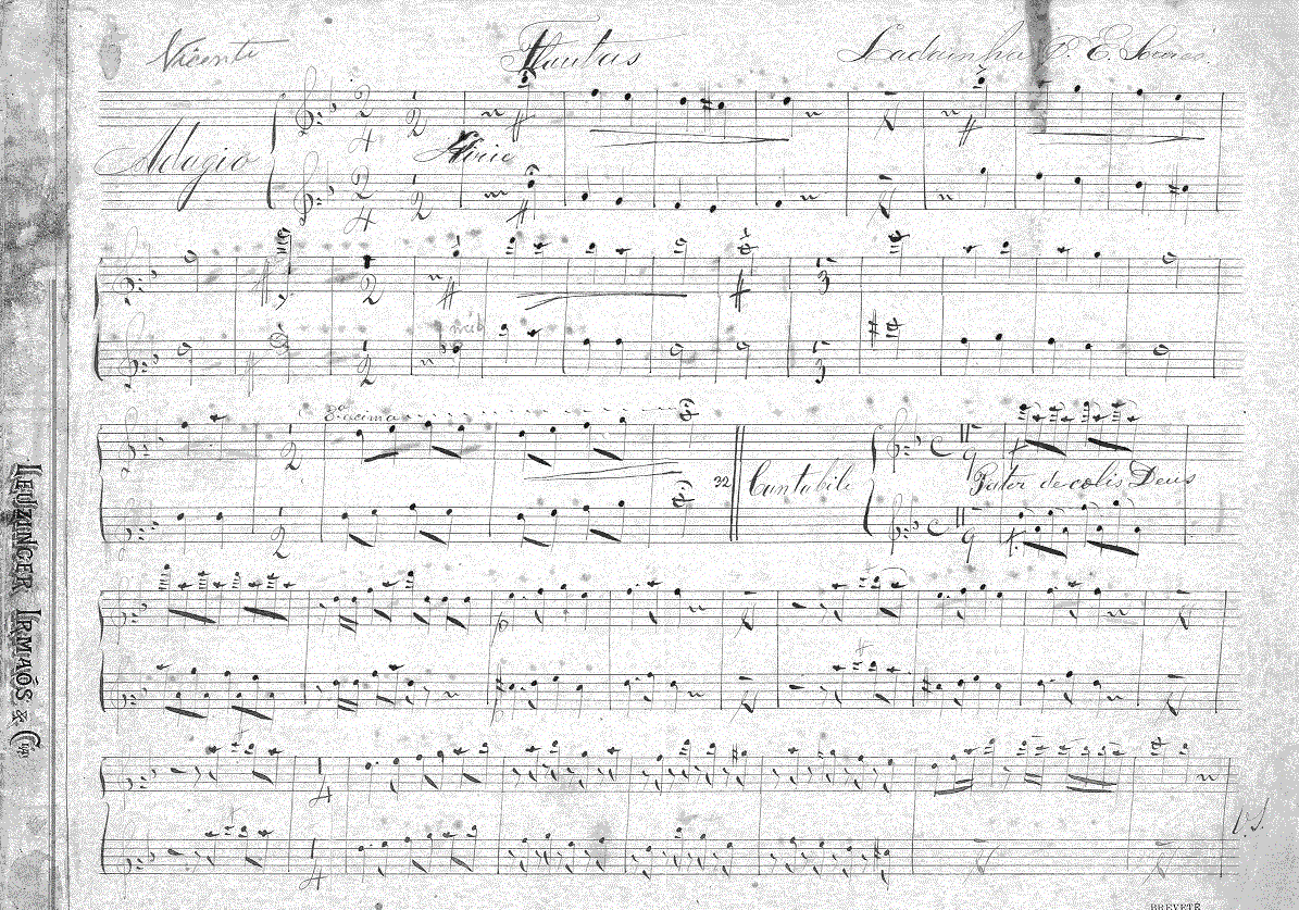 062fl11.gif (380195 bytes)