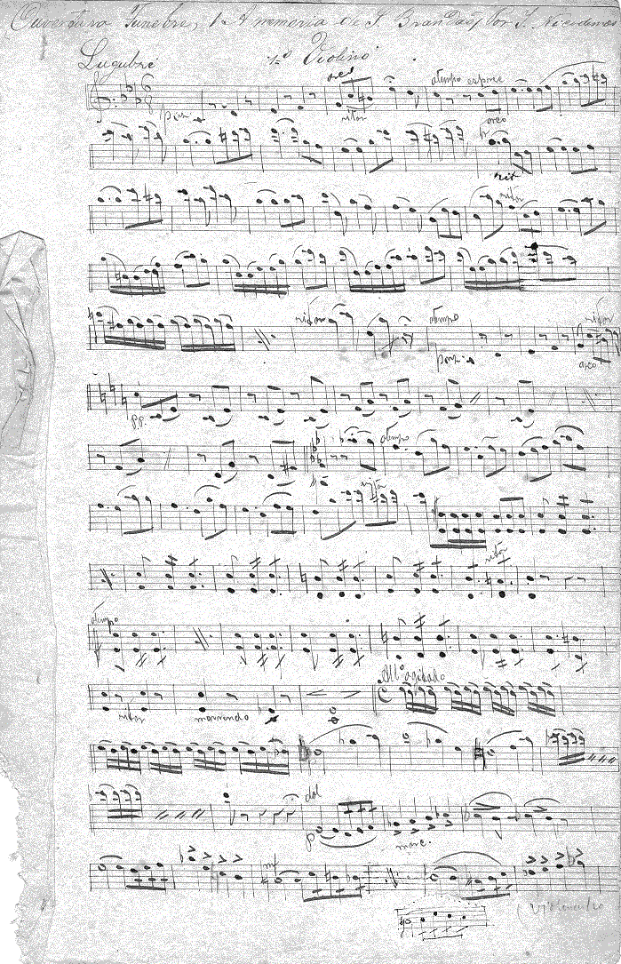 064v11.gif (287336 bytes)