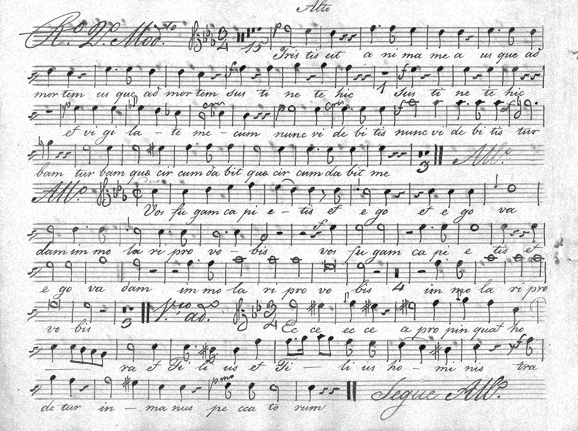 065a14.gif (364246 bytes)