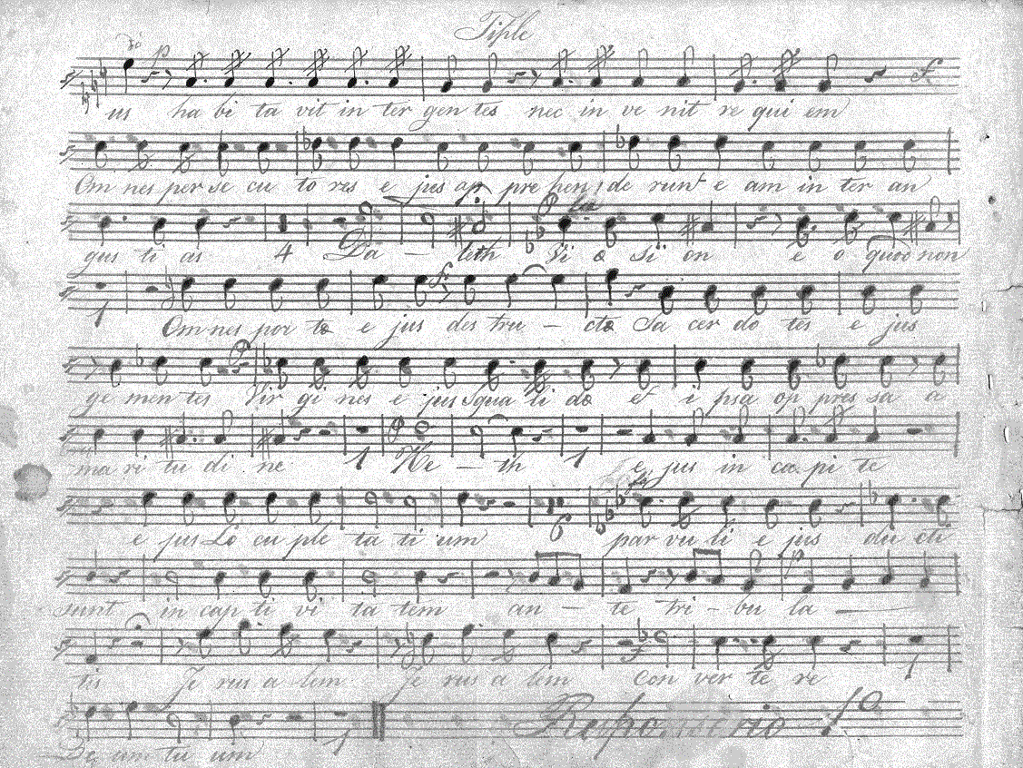 065s12.gif (357065 bytes)