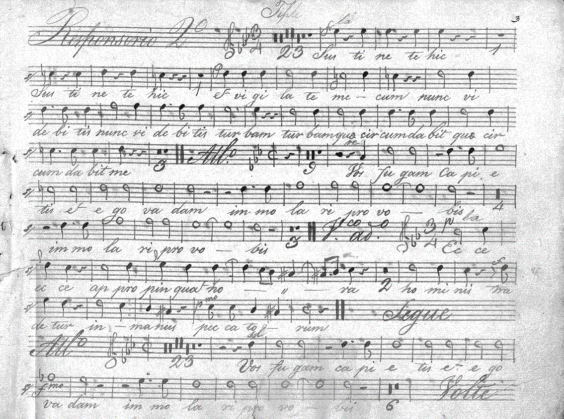 065s15.gif (368932 bytes)