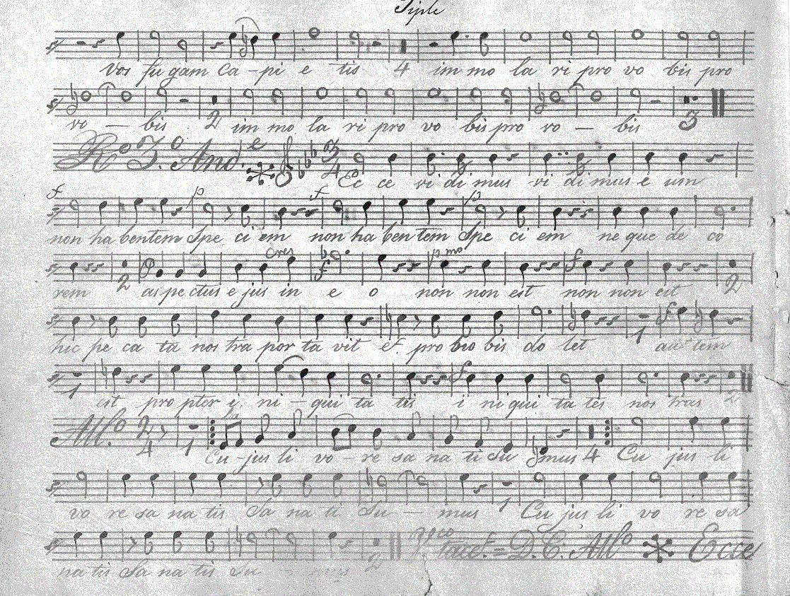 065s16.gif (361551 bytes)