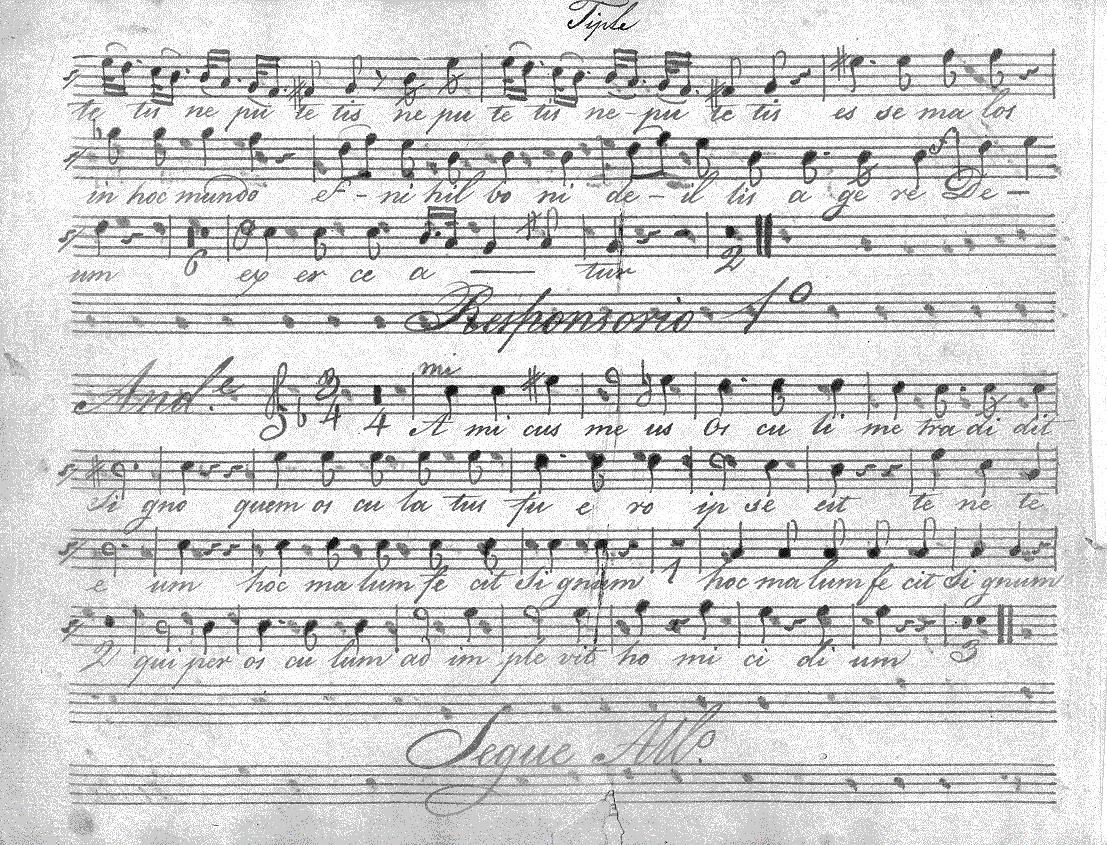 065s17.gif (353346 bytes)