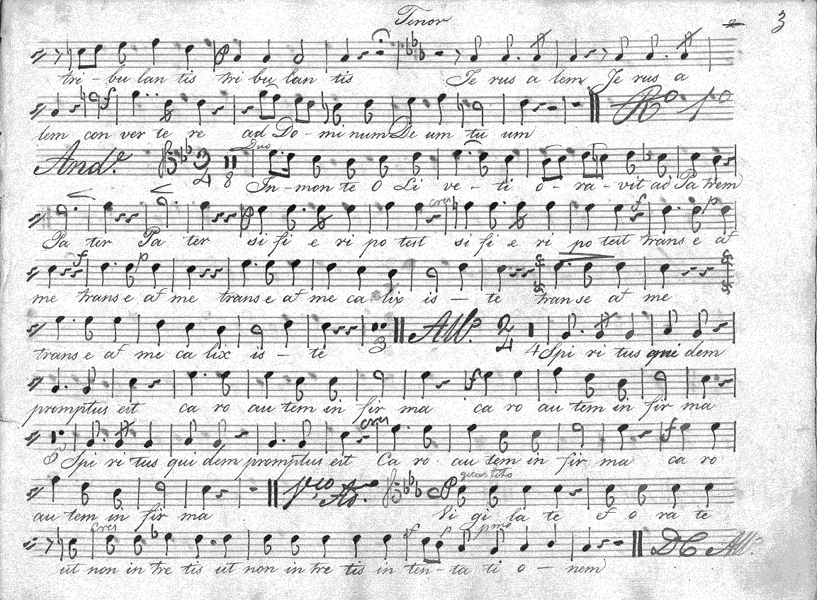 065t13.gif (374311 bytes)