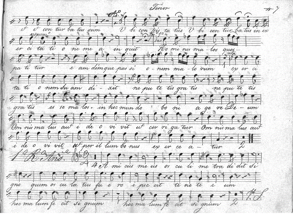 065t17.gif (378620 bytes)