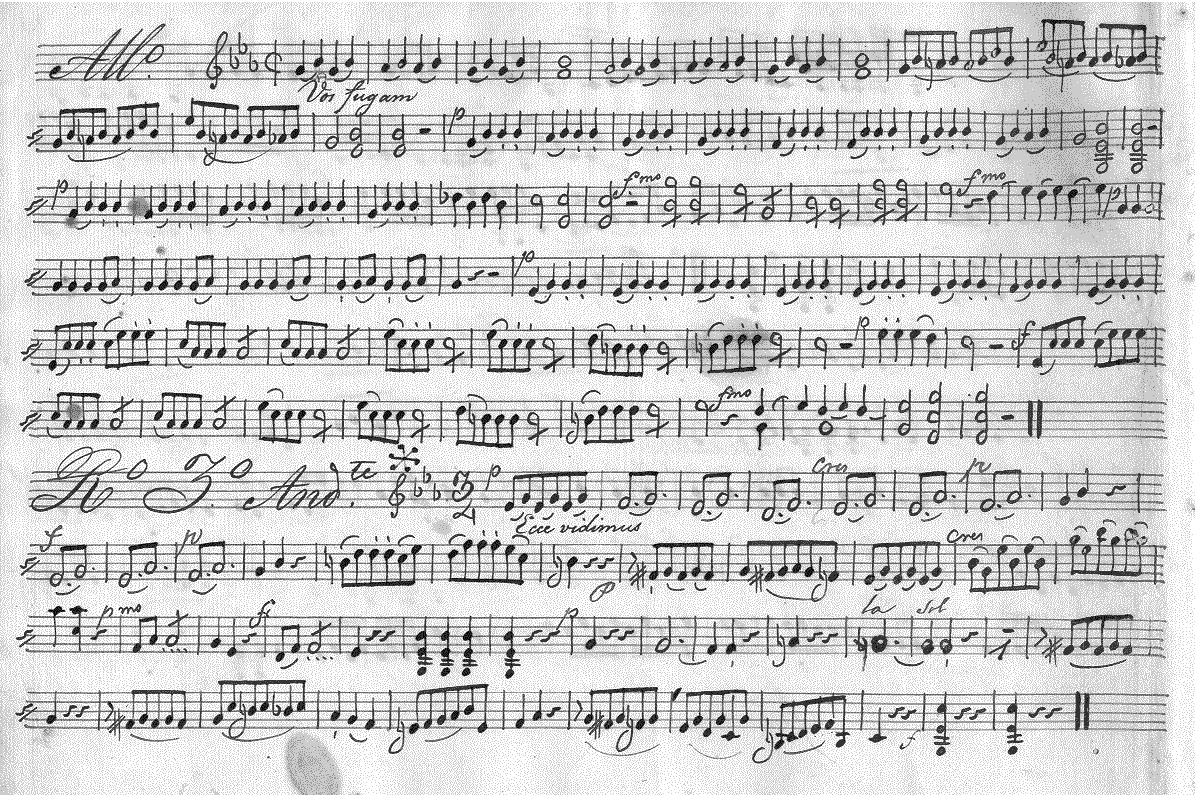 065v24.gif (200901 bytes)