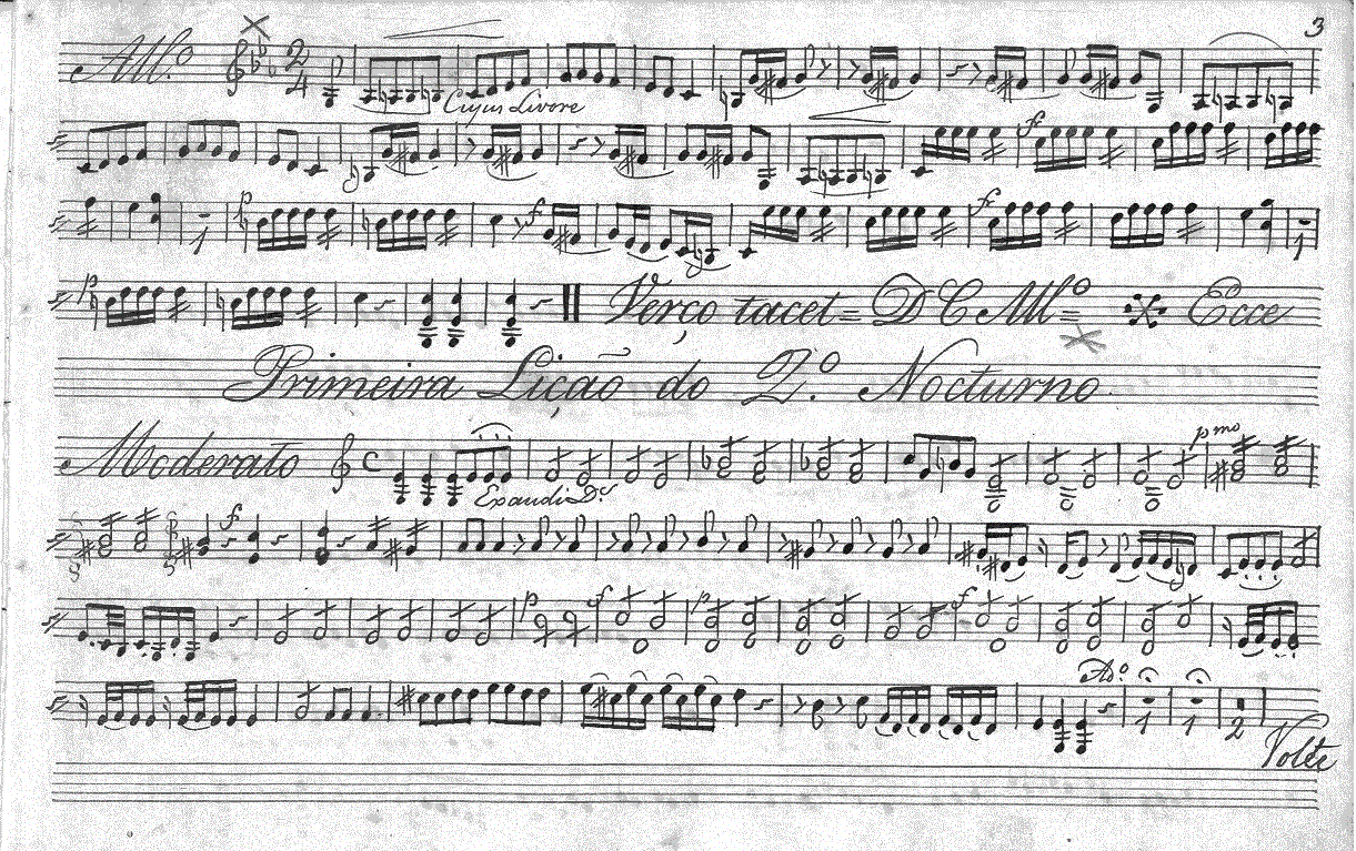 065v25.gif (393078 bytes)