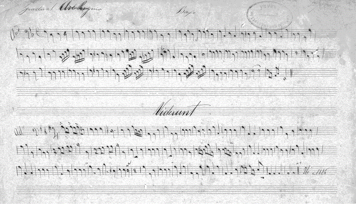 068cb11.gif (294315 bytes)