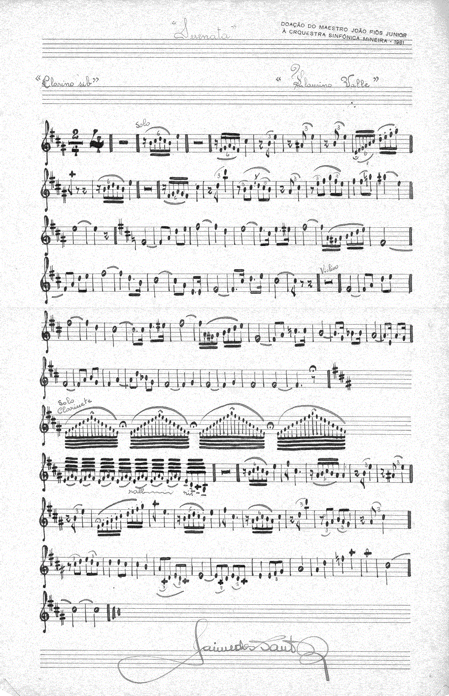 069(Clarino11).gif (462753 bytes)