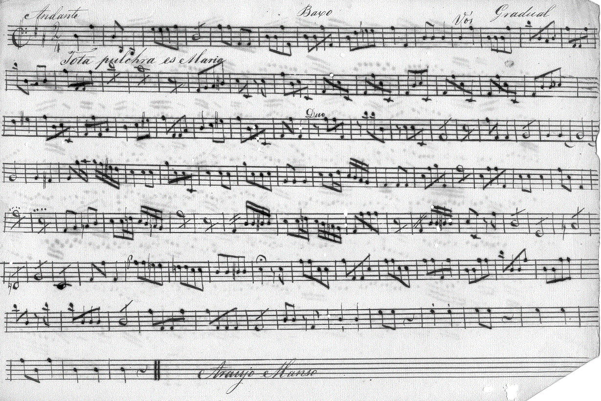 070cb.gif (382222 bytes)