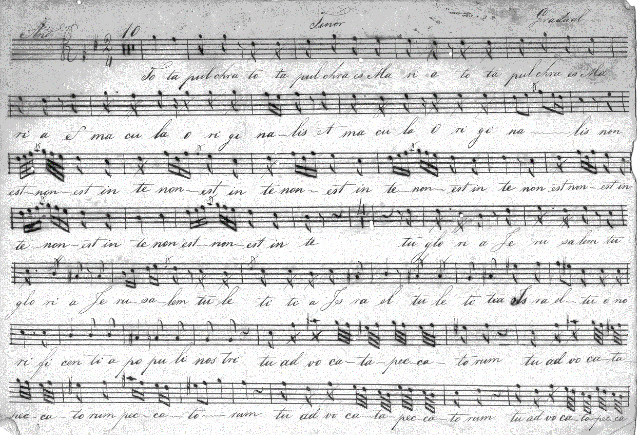 070t1.gif (402289 bytes)