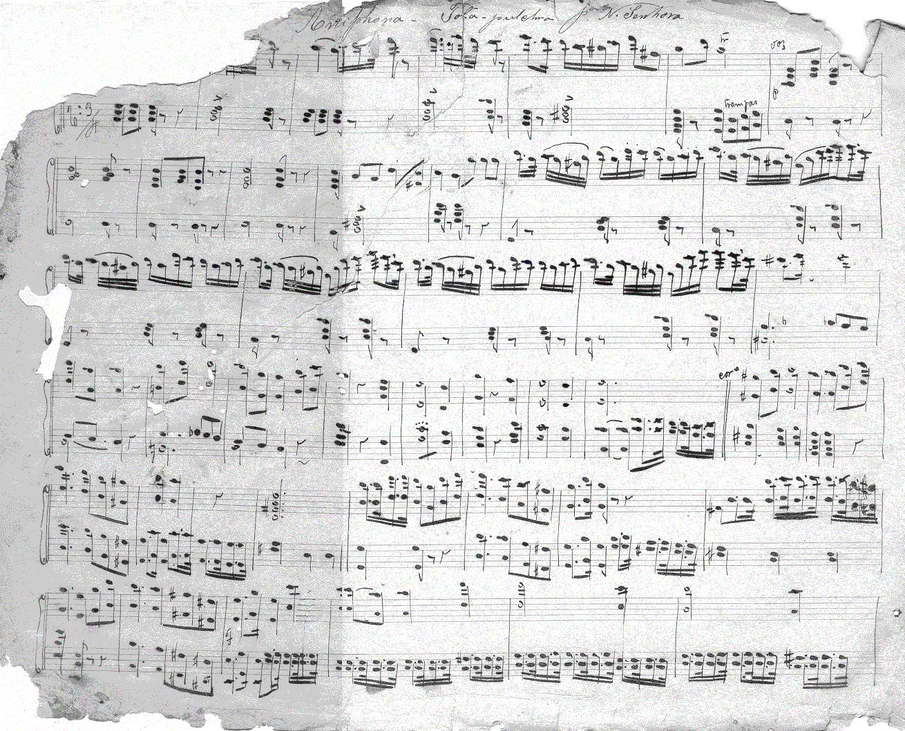 072hm.gif (494982 bytes)