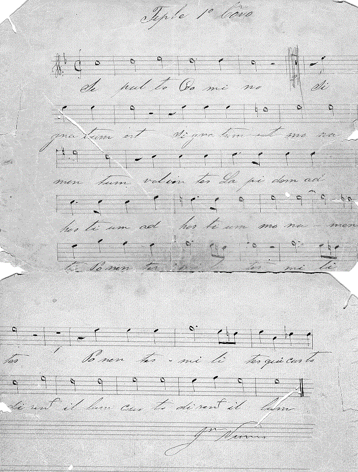 100s.gif (210734 bytes)