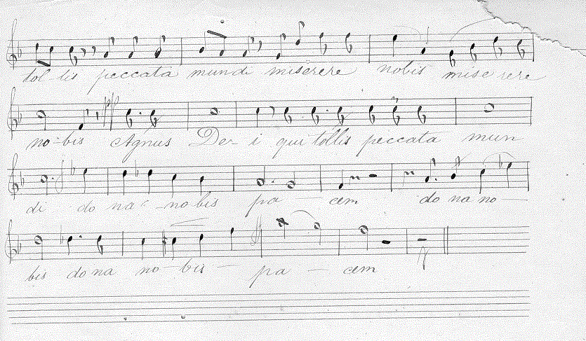 106t17.gif (134845 bytes)