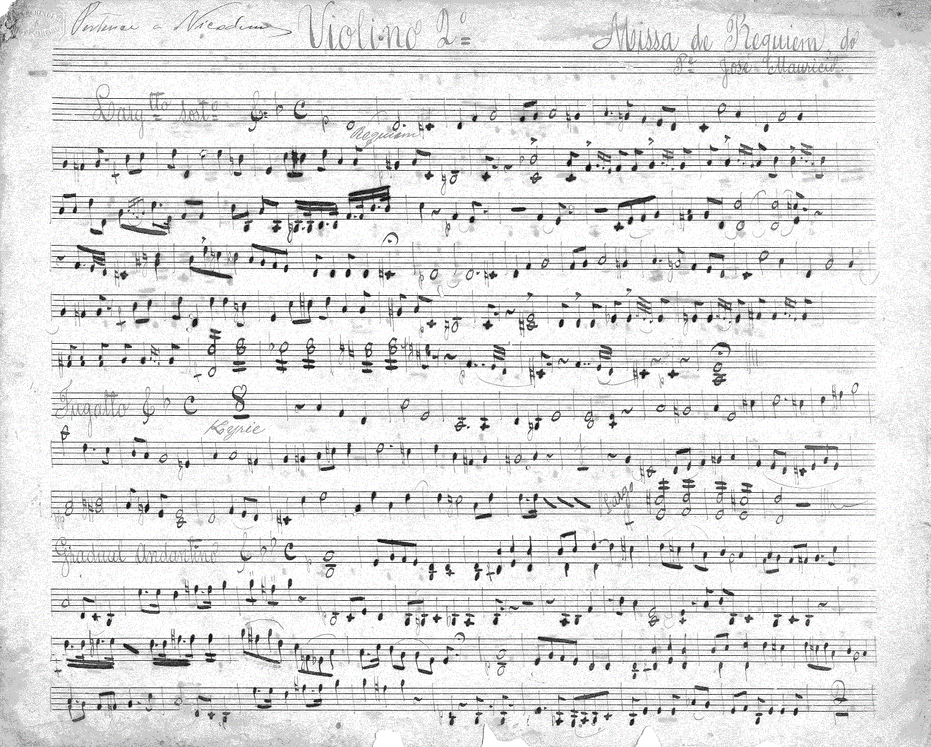 110v21.gif (500066 bytes)