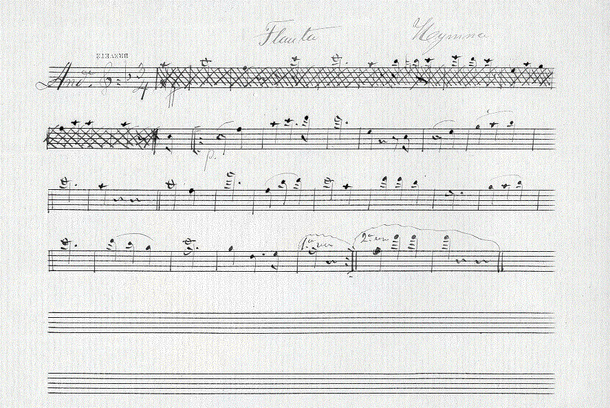 113fl11.gif (165431 bytes)