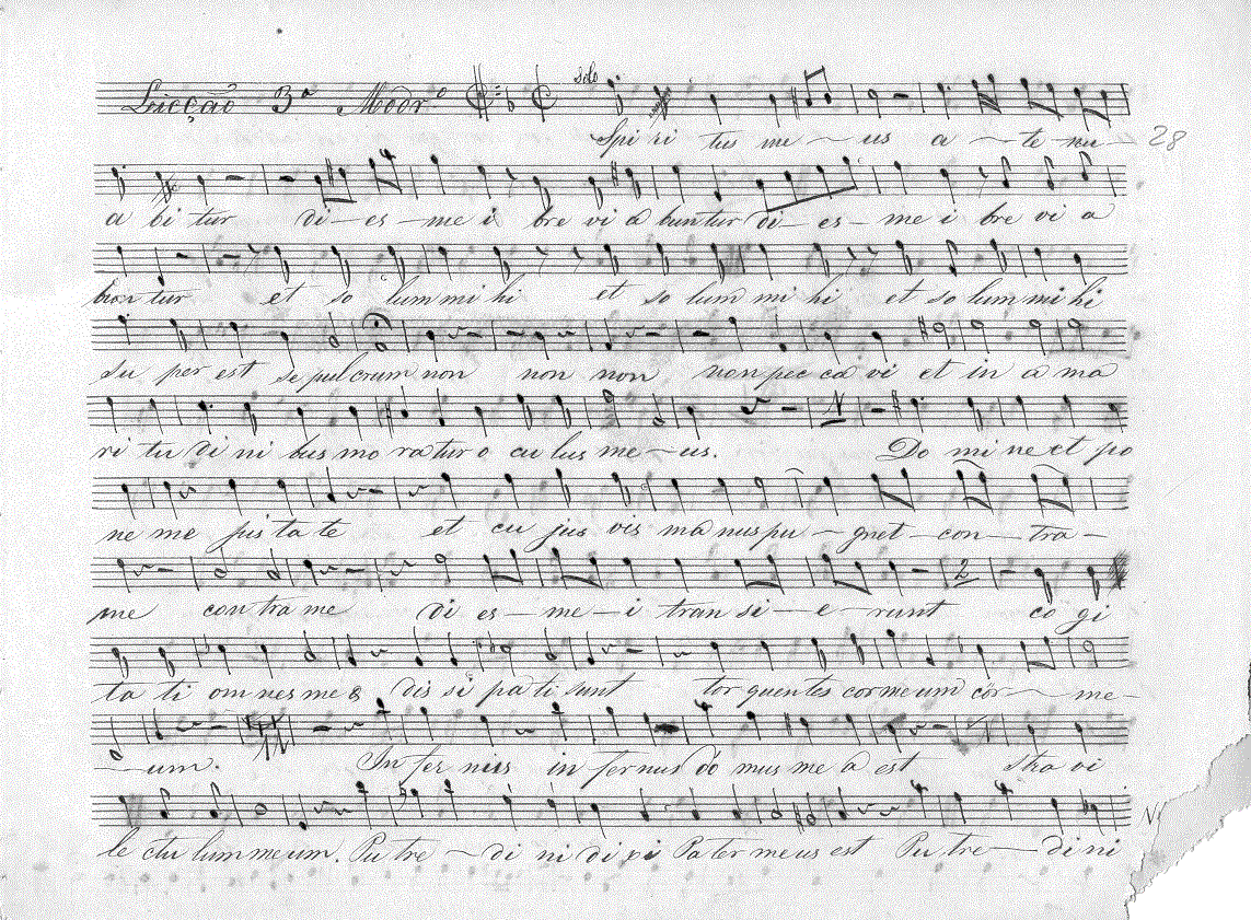 115b13.gif (357791 bytes)