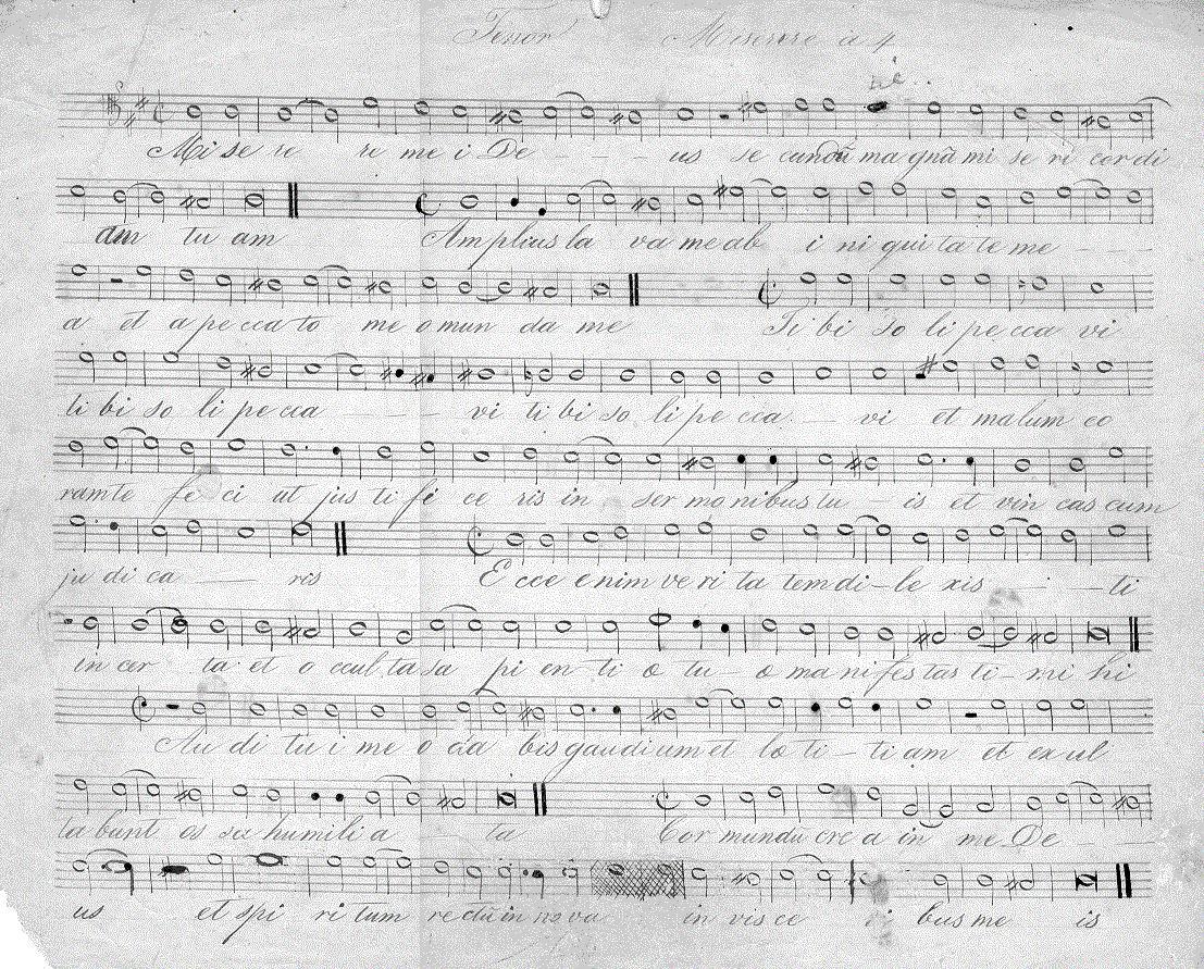 116t1.gif (370780 bytes)