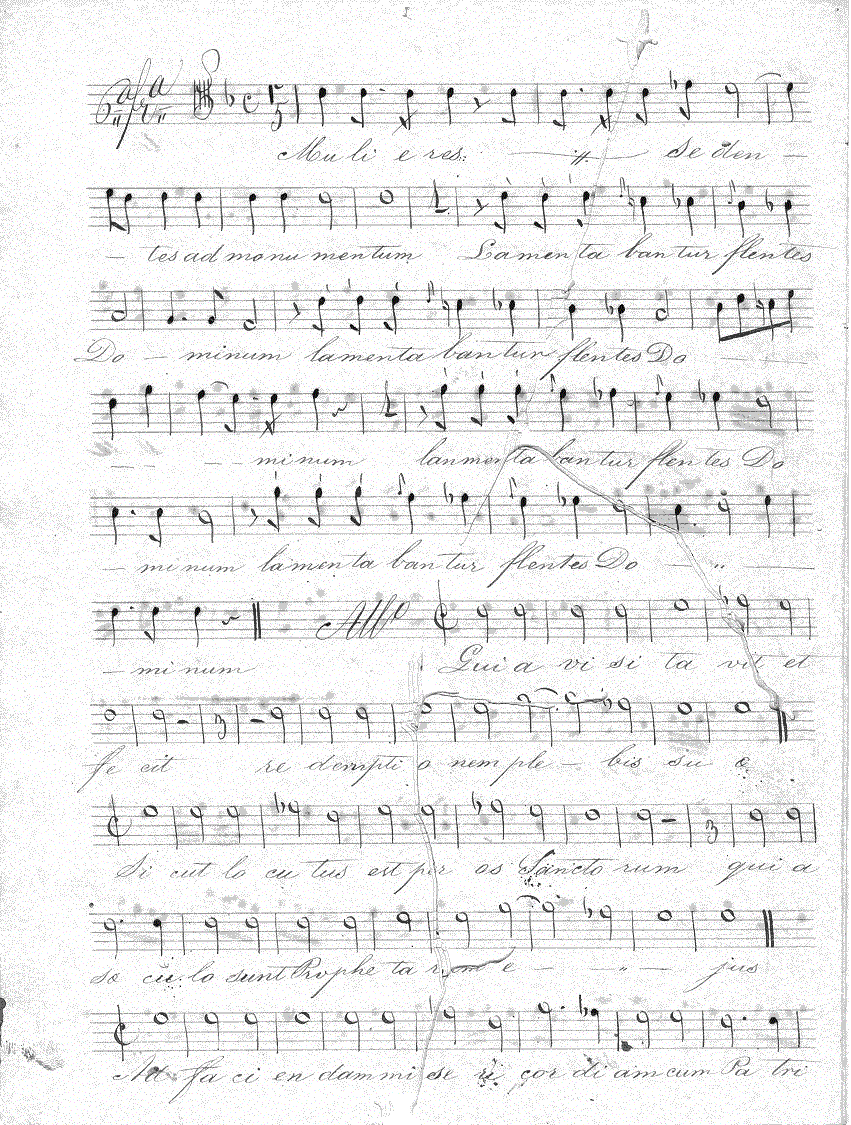 118t12.gif (348270 bytes)