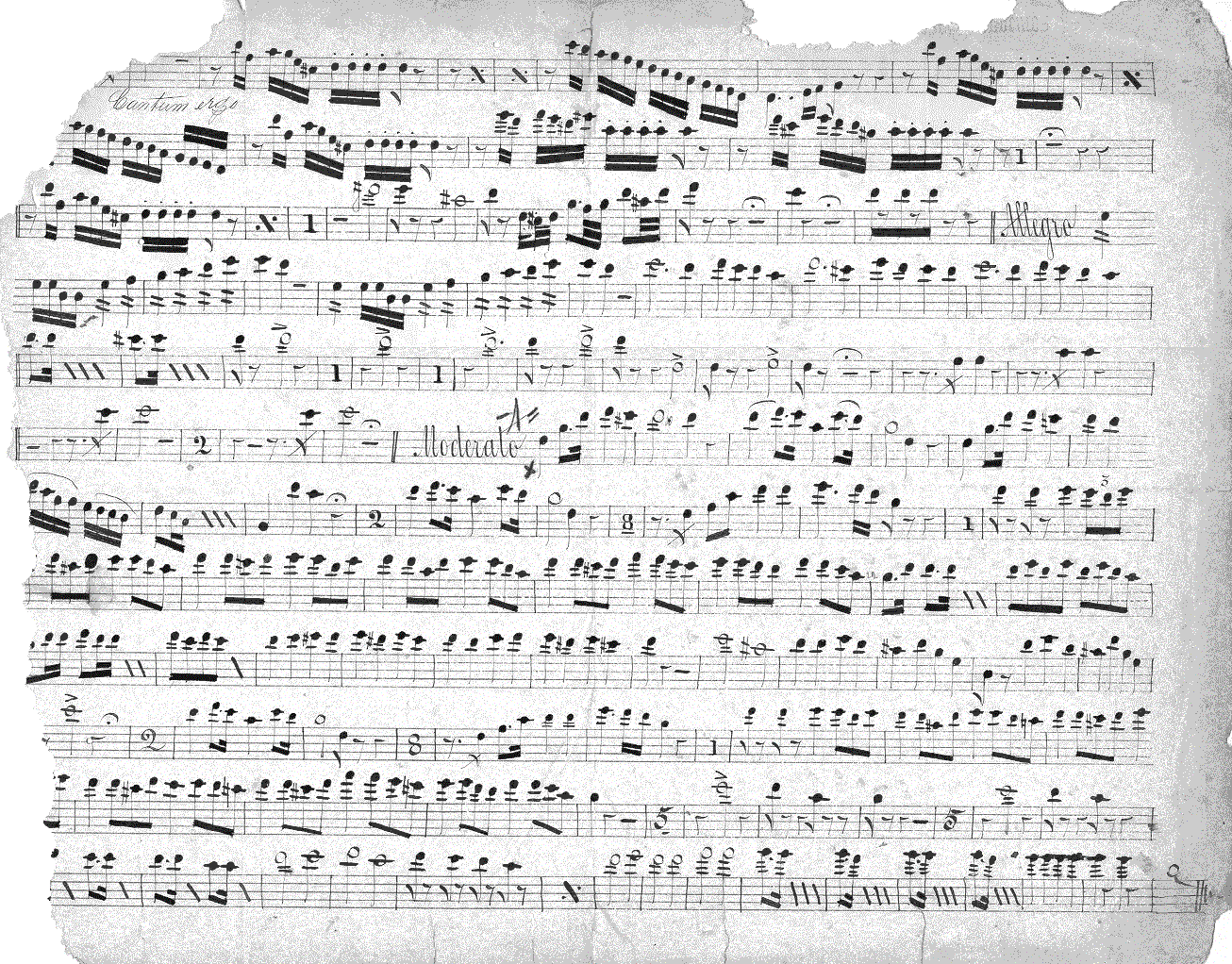 119fl1.gif (491670 bytes)