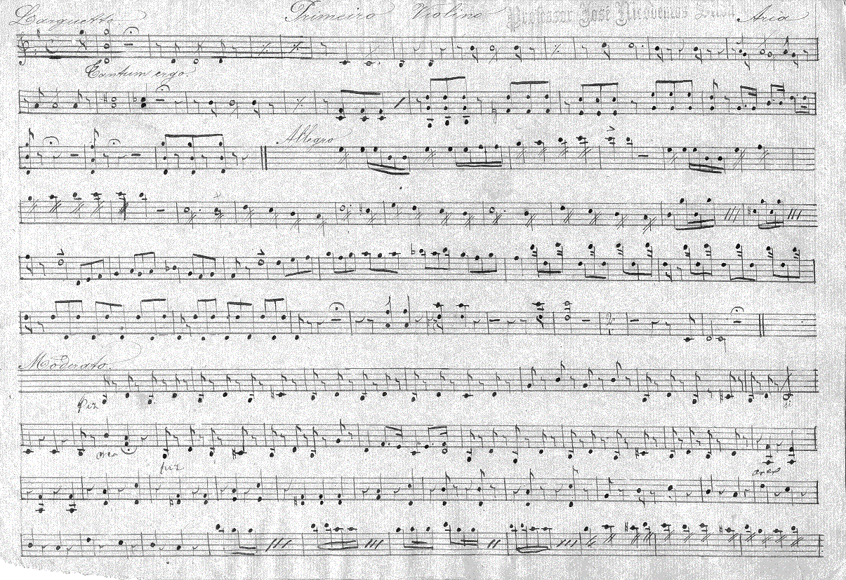 119v11.gif (370582 bytes)