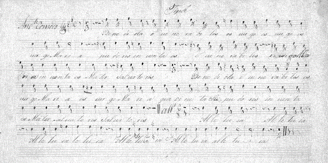 126s11.gif (300019 bytes)