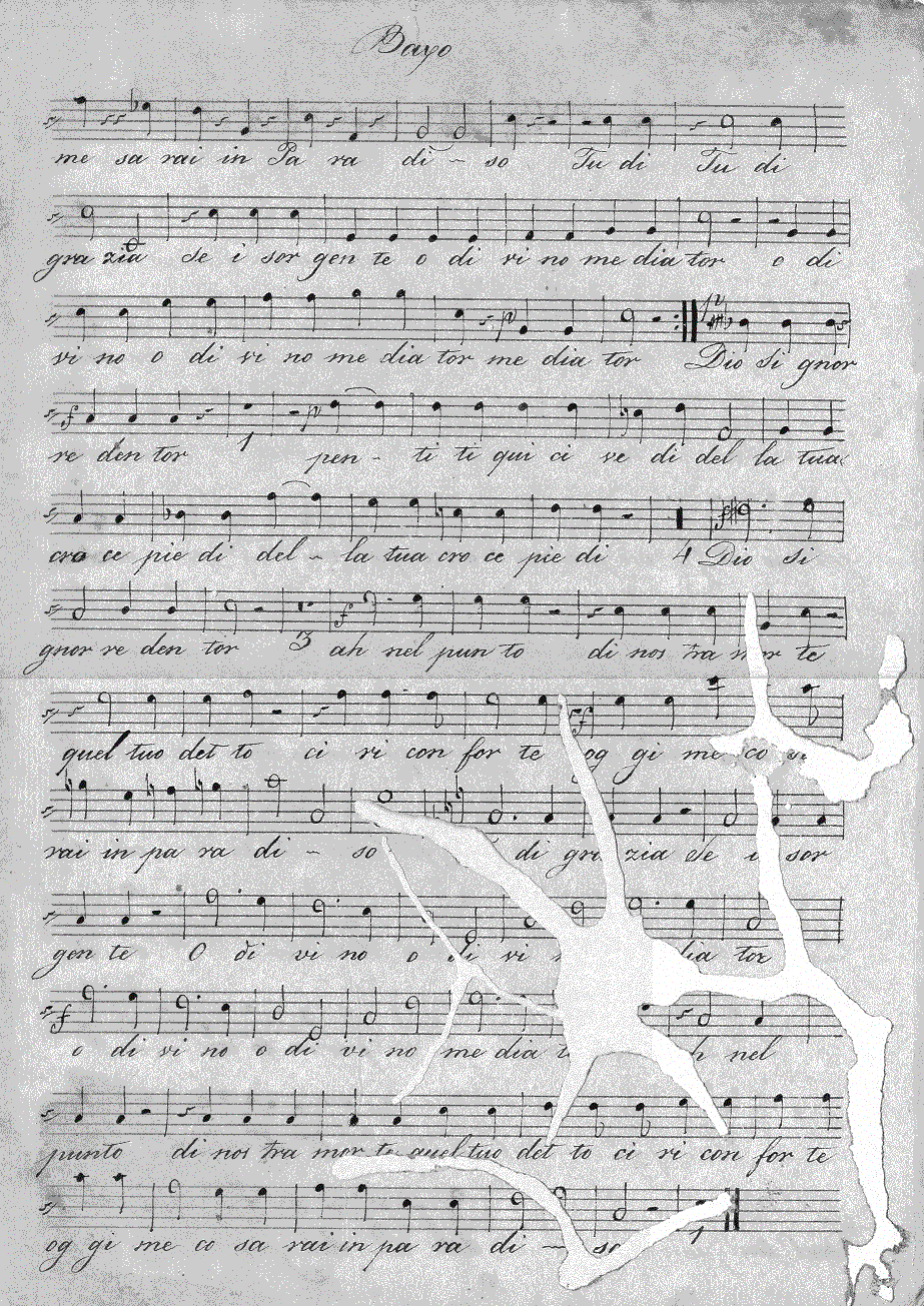 139b13.gif (356335 bytes)