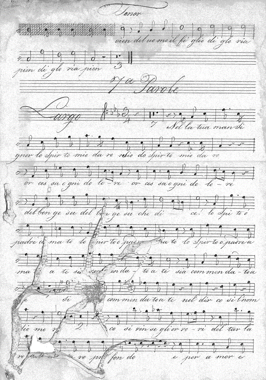 139t110.gif (448866 bytes)