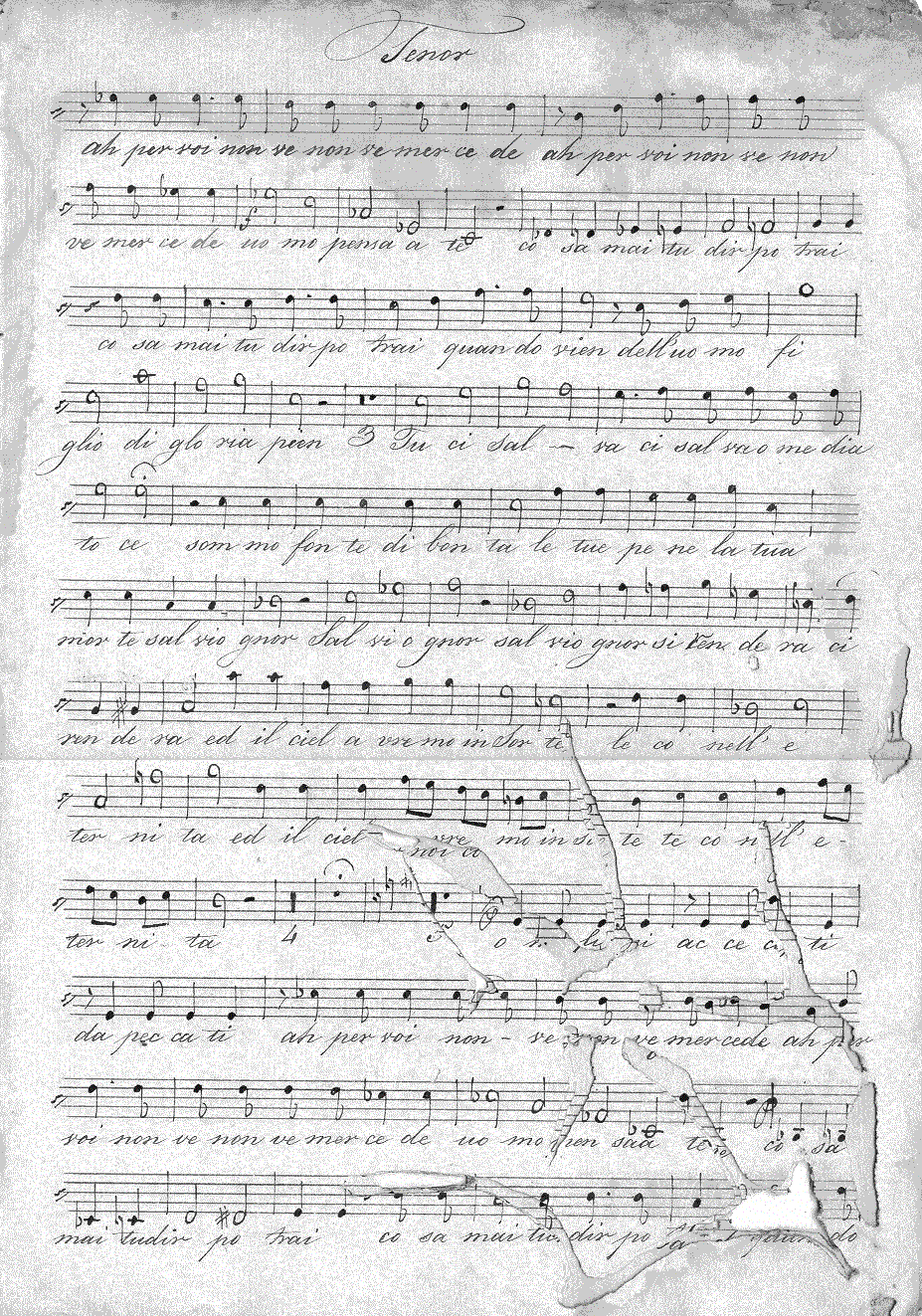 139t19.gif (463428 bytes)