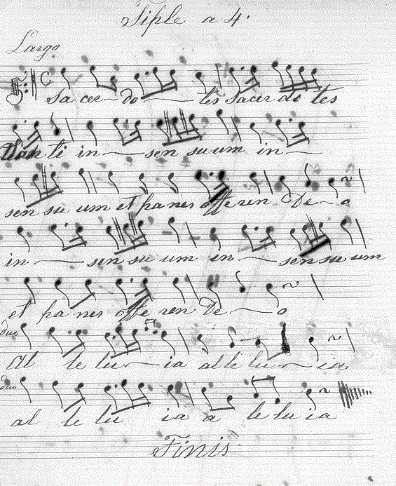 142s.gif (151954 bytes)