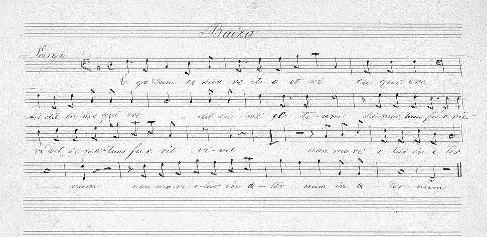 143b.gif (146026 bytes)