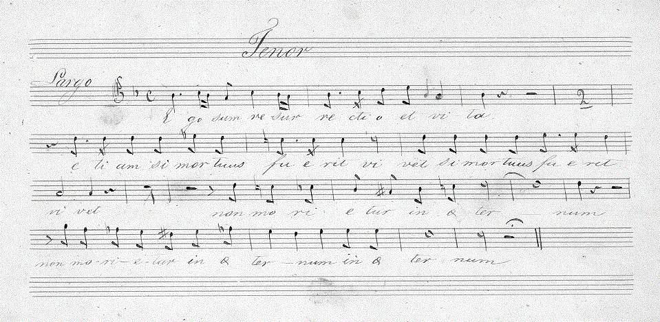 143t.gif (144729 bytes)