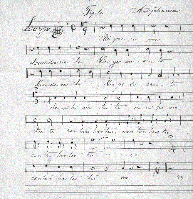 144s11.gif (159412 bytes)