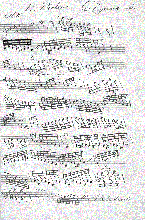 144v11.gif (203836 bytes)