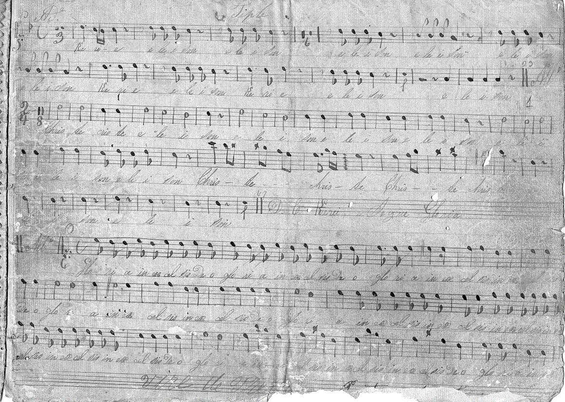 155s11.gif (341602 bytes)